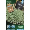 PROTECTA - Graines paysannes - thym de provence