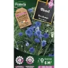 PROTECTA - Graines paysannes - bleuet des champs