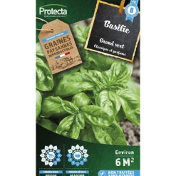 PROTECTA - Graines paysannes - basilic genovese grand vert