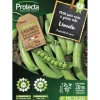 PROTECTA - Graines paysannes - pois nain à grain ridé lincoln