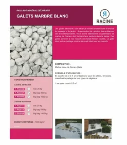 RACINE - Paillage minéral galet marbre blanc carrare 40-60mm, sac 25 kg - f-pai011