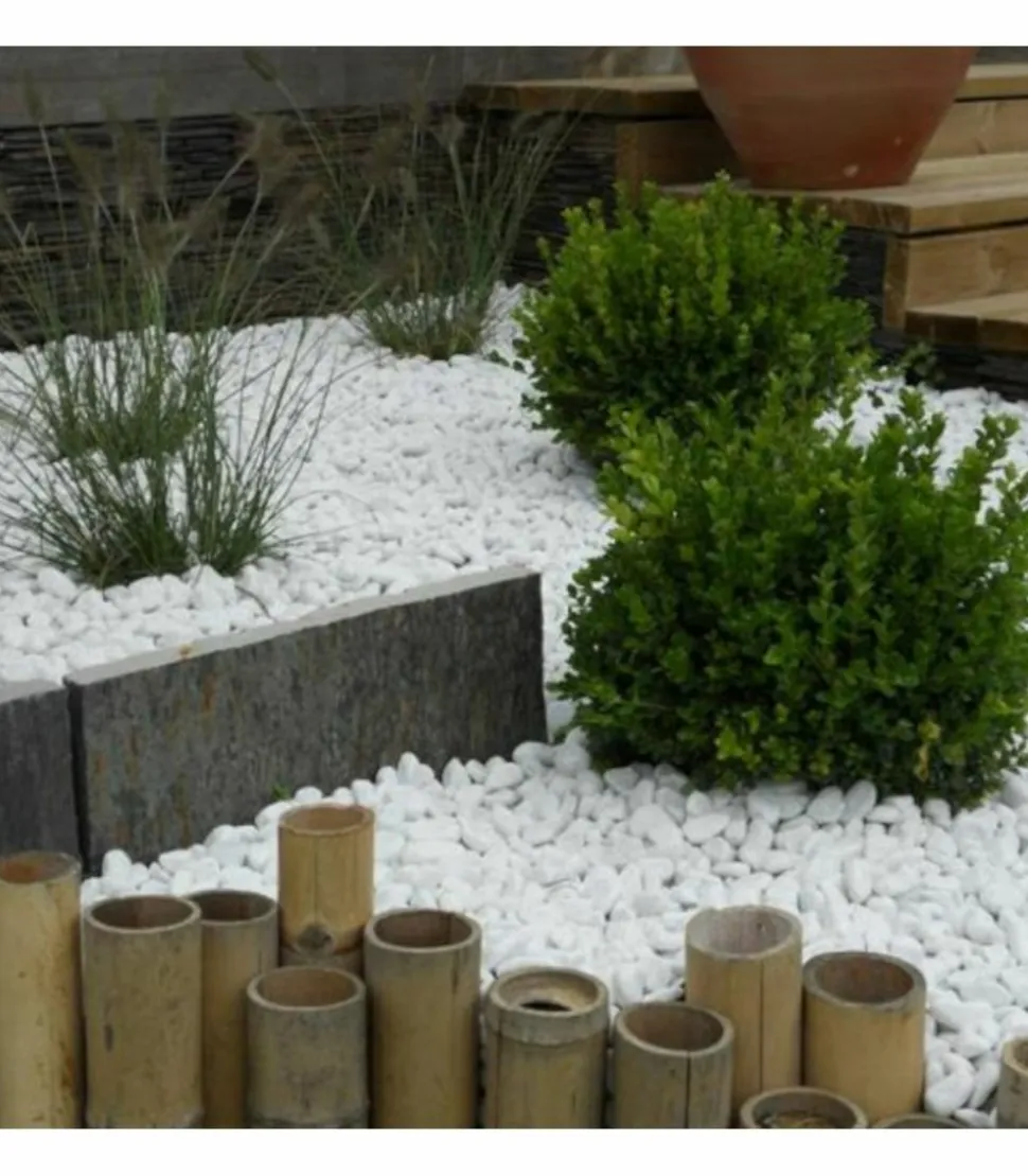 RACINE - Paillage minéral galet marbre blanc carrare 25-40mm, big bag 500 kg - f-pai007