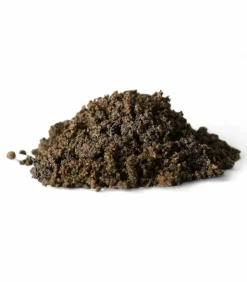 RACINE - Terreau substrat pour regarnissage gazon pour sol sportif 24 sacs 20l - pro447-24x20