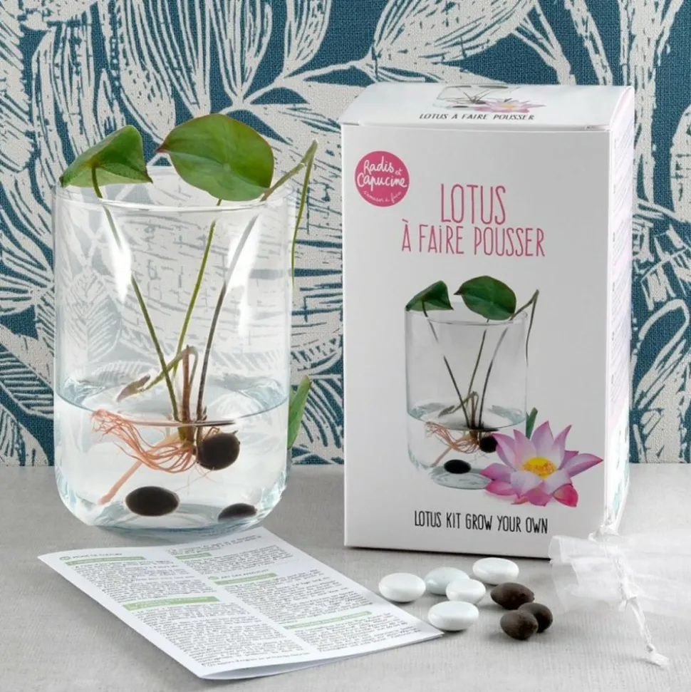 RADIS ET CAPUCINE - Coffret de culture du lotus