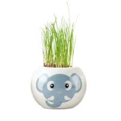 RADIS ET CAPUCINE - Graines de fleurs-Pot éléphant