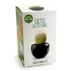 RADIS ET CAPUCINE - Kit cactus