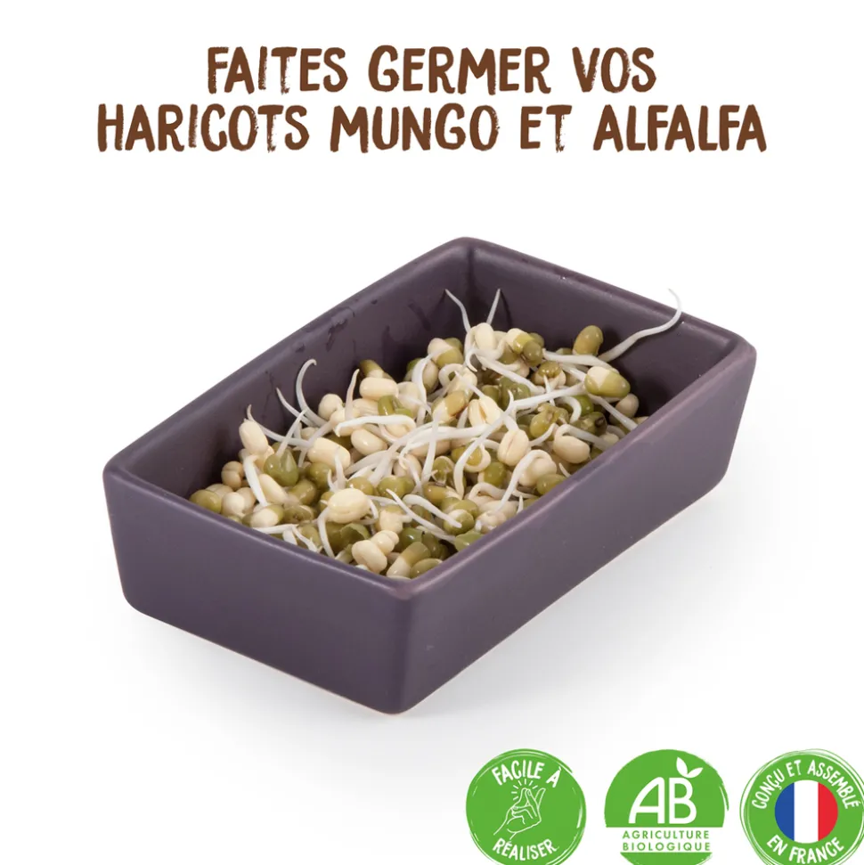 RADIS ET CAPUCINE - L'atelier graines à germer coffret 50 gr