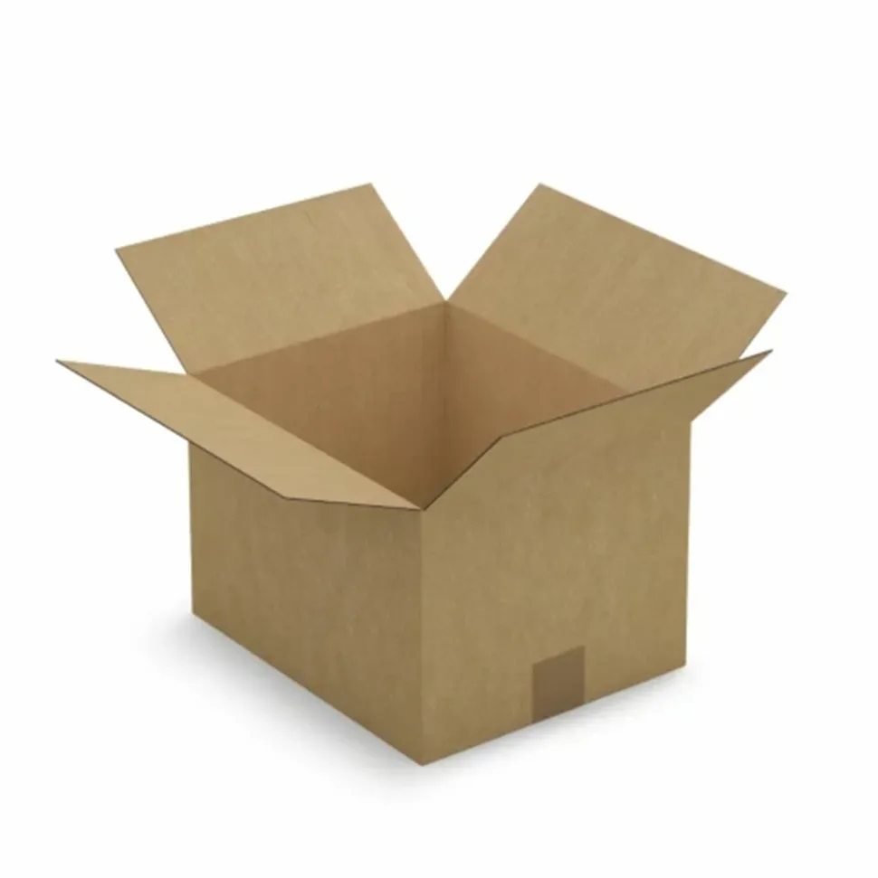 RAJA - 20 cartons d'emballage 30 x 25 x 20 cm - simple cannelure