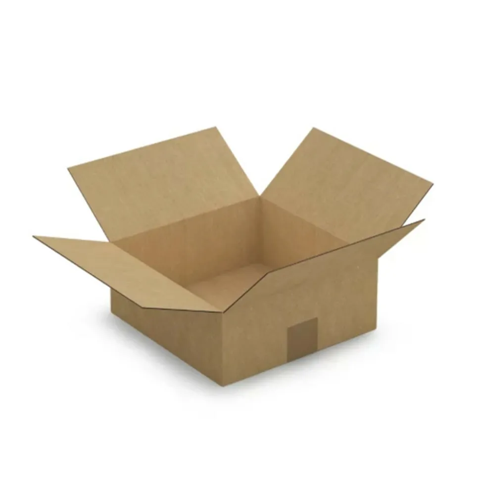 RAJA - Carton d'emballage 25 x 25 x 10 cm - simple cannelure