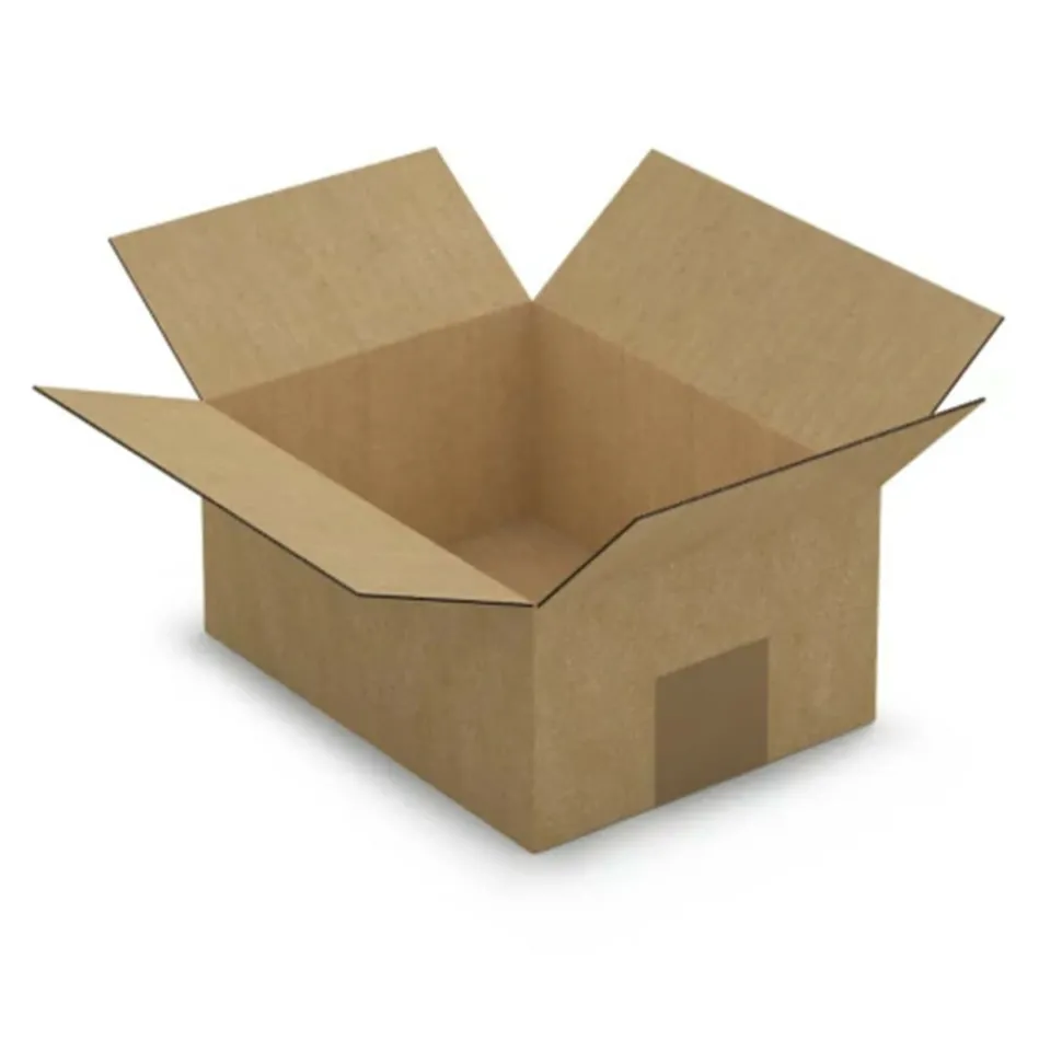 RAJA - Carton d'emballage 25 x 25 x 19 cm - simple cannelure