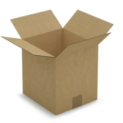 RAJA - Carton d'emballage 23 x 21 x 24 cm - simple cannelure
