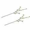 RAYHER - 2 branches de fruits d'eucalyptus