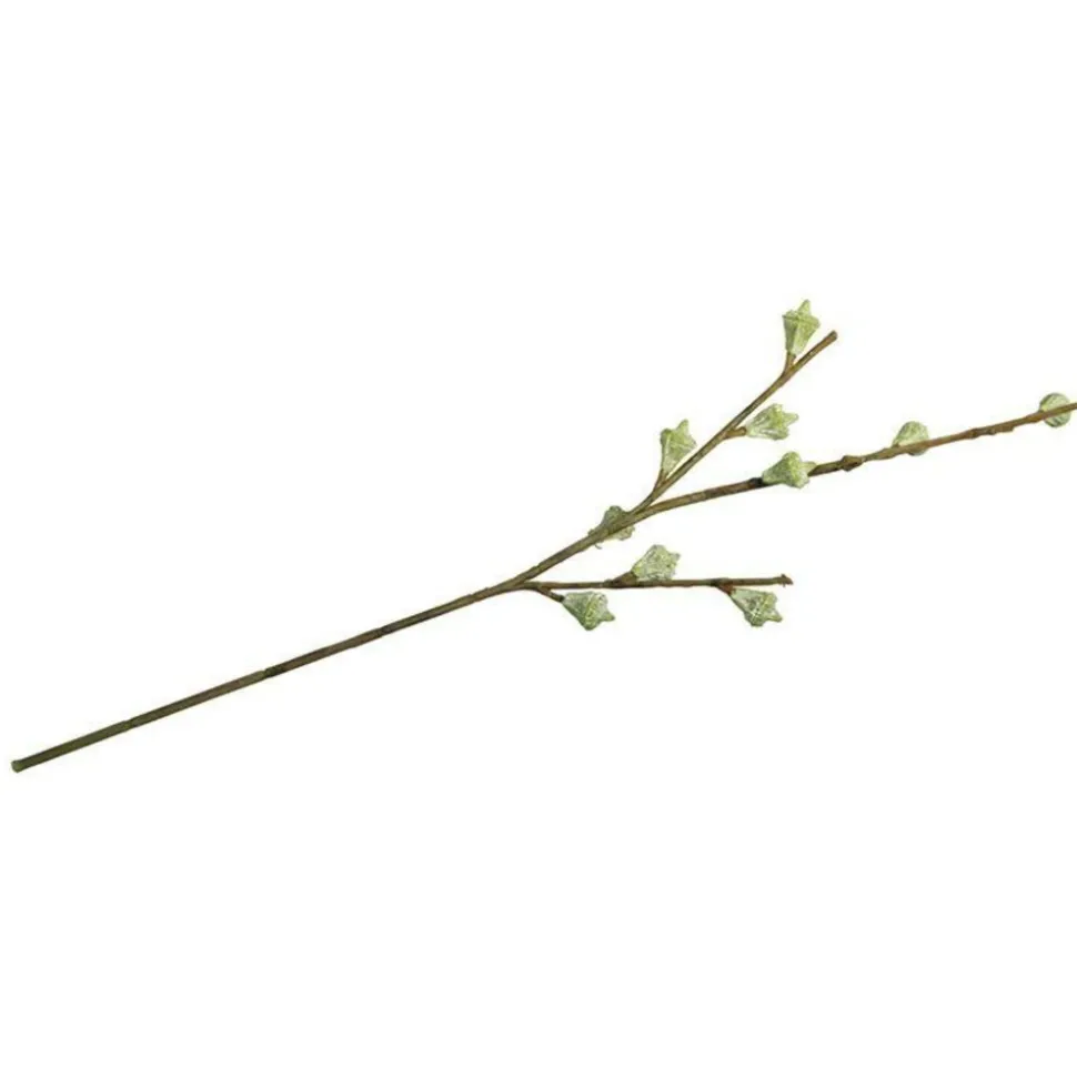 RAYHER - Branche de fruits d'eucalyptus