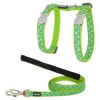 RED DINGO - Harnais pour chat style turquoise étoile sangle