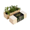 RESETEA - Kit d'auto-culture complet culinaire gourmet