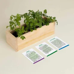 RESETEA - Kit d'auto-culture complet culinaire gourmet
