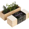 RESETEA - Kit d'auto-culture complet culinaire provençal