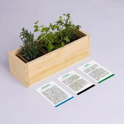 RESETEA - Kit d'auto-culture complet culinaire provençal