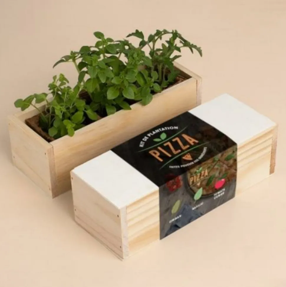 RESETEA - Kit d'auto-culture complet culinaire provençal