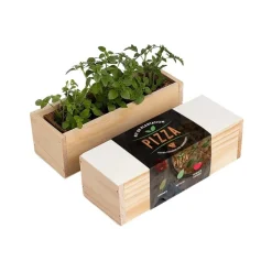 RESETEA - Kit d'auto-culture complet culinaire pizza