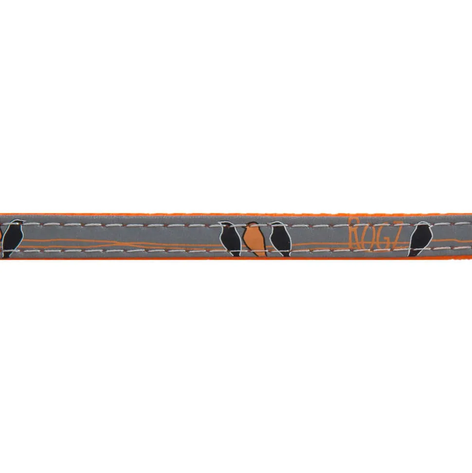 ROGZ - Collier Night pour chat : Orange
