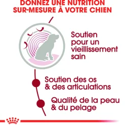 ROYAL CANIN - Bouchées en sauce Medium Ageing 10+ pour chien 10X140g