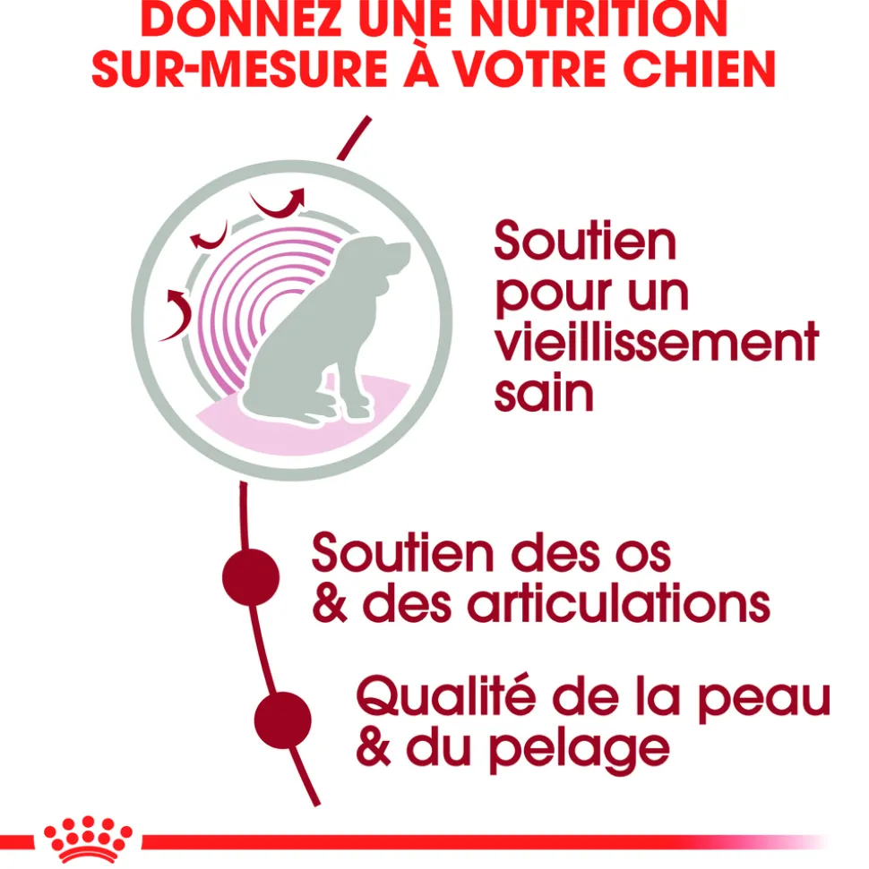 ROYAL CANIN - Bouchées en sauce Medium Ageing 10+ pour chien 10X140g