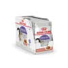 ROYAL CANIN - Bouchées sauce chat stérilisé de 1 à 7 ans Sterilised 12x85g
