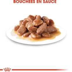 ROYAL CANIN - Bouchées sauce chat stérilisé de 1 à 7 ans Sterilised 12x85g