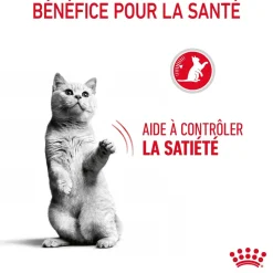 ROYAL CANIN - Croquettes chat quemandeur Appetite Control Sterilised 3.5kg