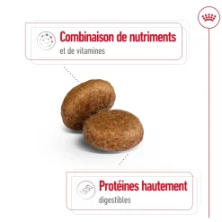 ROYAL CANIN - Croquettes chien grande taille de + 5 ans Maxi Adult 5+ 15kg