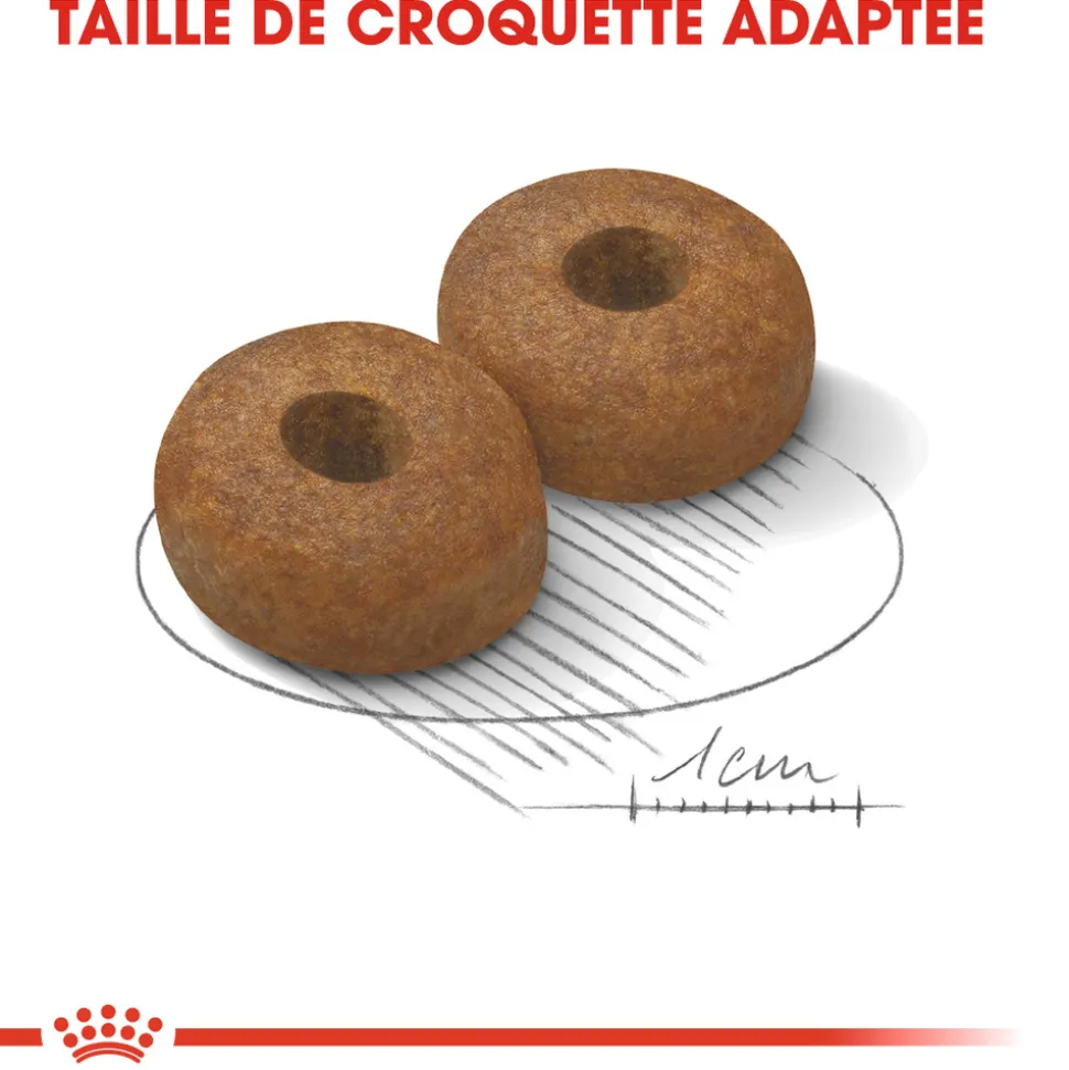 ROYAL CANIN - Croquettes chien grande taille de +8 ans Maxi Ageing 8+ 15kg