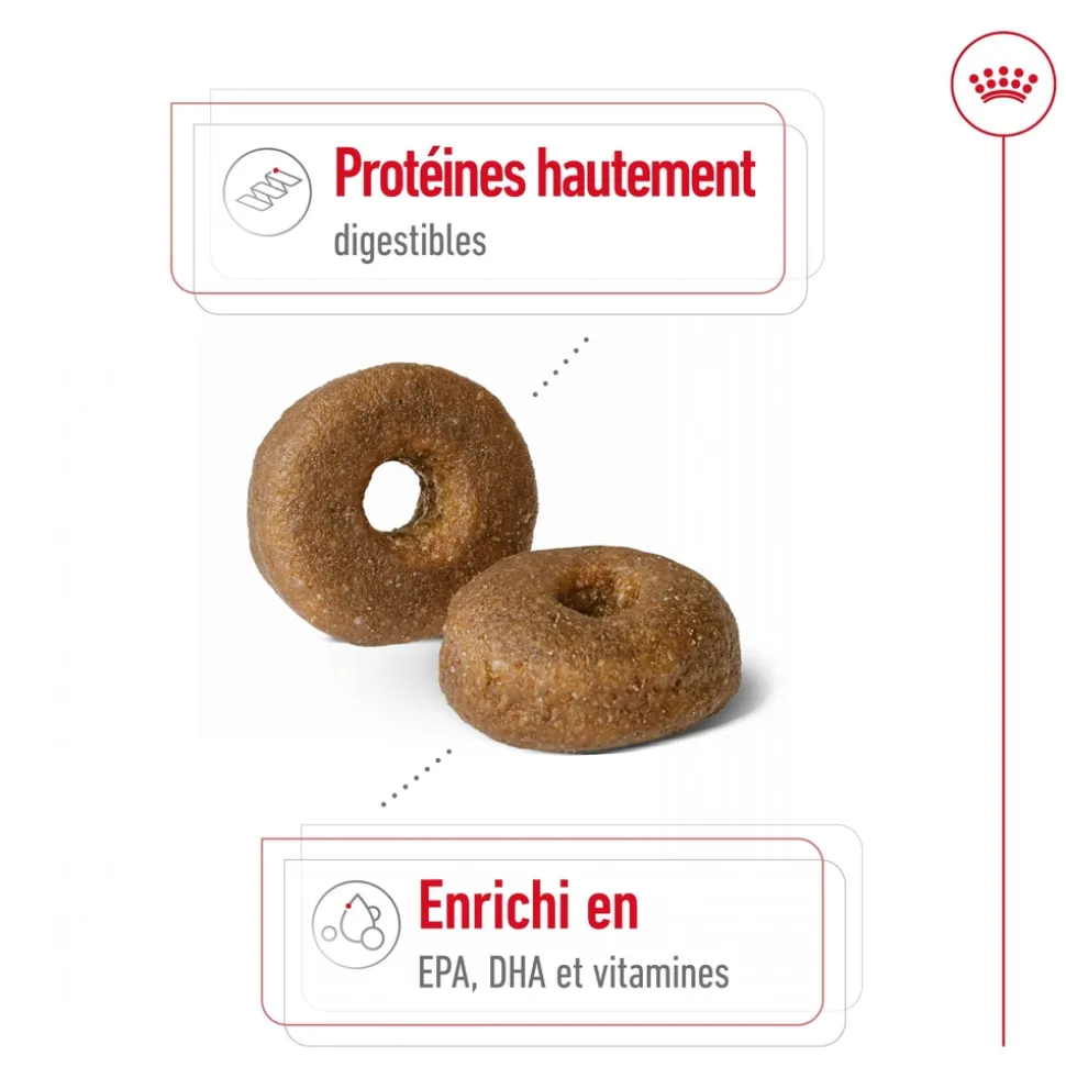 ROYAL CANIN - Croquettes chien grande taille de +8 ans Maxi Ageing 8+ 15kg