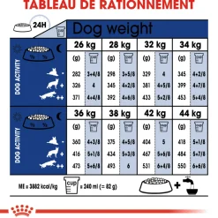 ROYAL CANIN - Croquettes chien grande taille de +8 ans Maxi Ageing 8+ 15kg