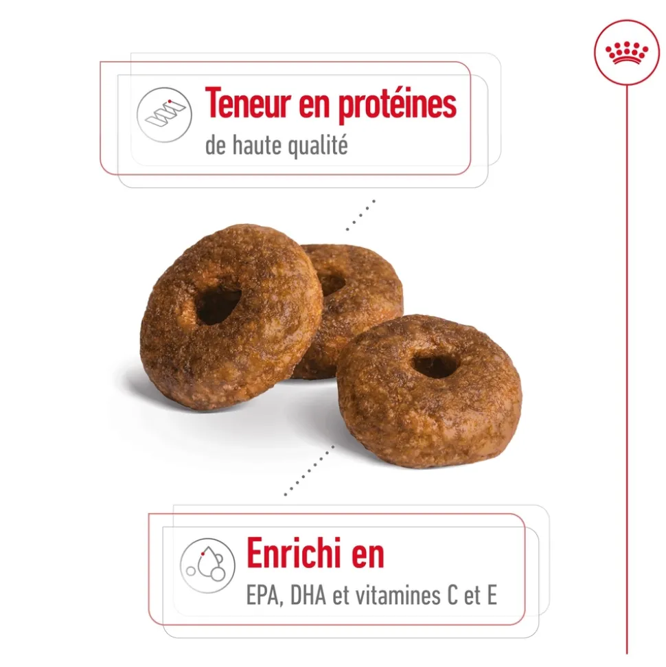 ROYAL CANIN - Croquettes chien taille moyenne de +10 ans Medium Ageing 3kg