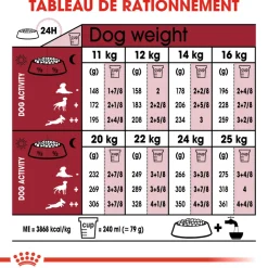 ROYAL CANIN - Croquettes chien taille moyenne de +10 ans Medium Ageing 3kg