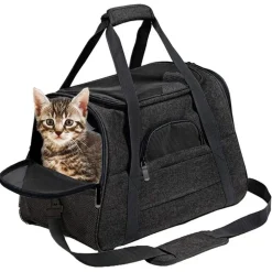 Sac à dos de chat portable et respirant pour sorties noir grand downypaws