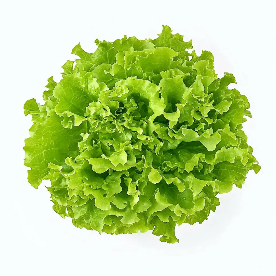SEMISAUVAGE PERMACULTURE - Coffret de graines - spécial salades - semisauvage permaculture