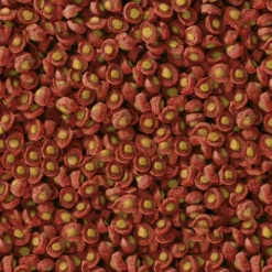 SERA - Printemps/ automne 2.2kg sera koi professional aliment composé