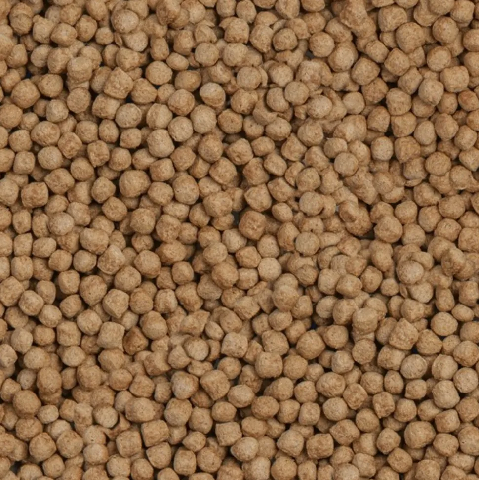 SERA - Sera koi royal medium 3.8l (1kg)