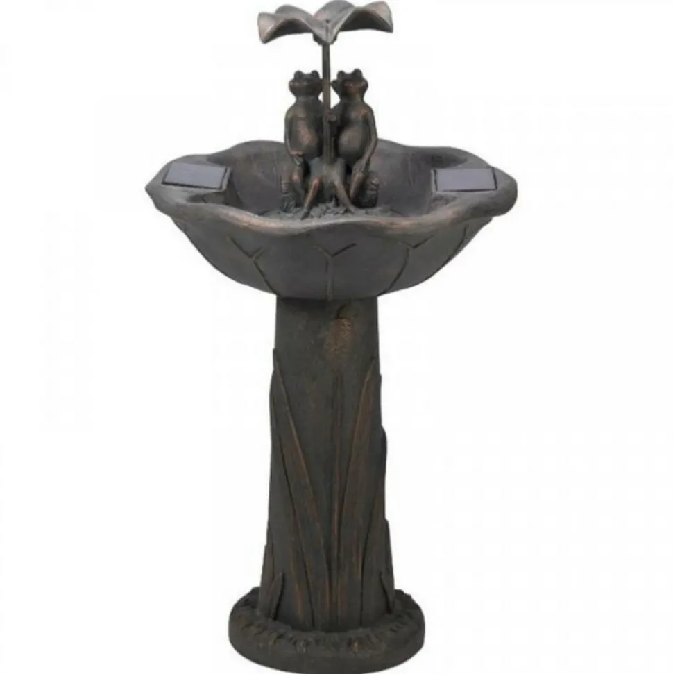 SMART GARDEN - Fontaine solaire bain d'oiseaux duo de grenouilles