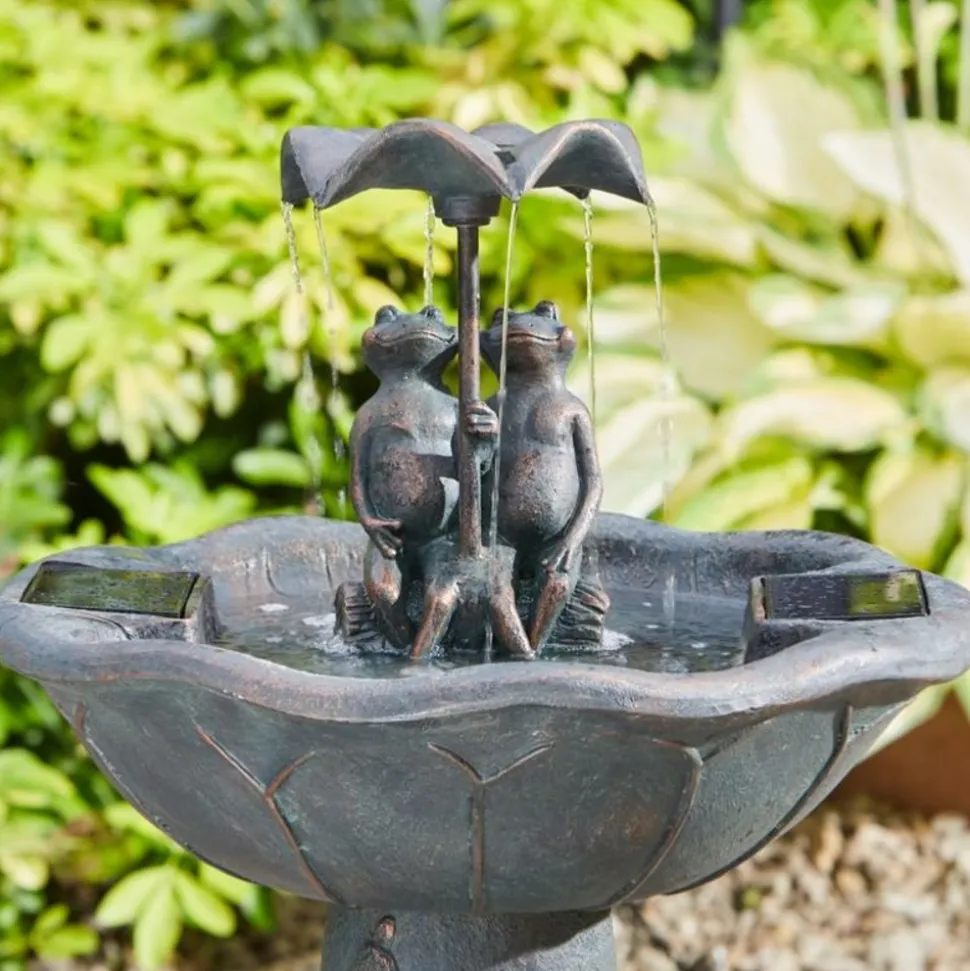 SMART GARDEN - Fontaine solaire bain d'oiseaux duo de grenouilles