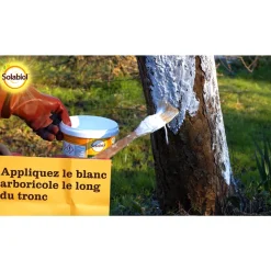 SOLABIOL - Blanc arboricole 3 litres Solabiol