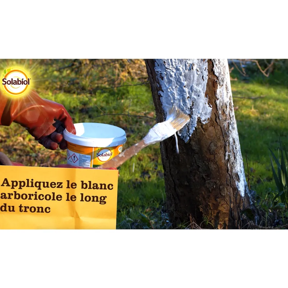 SOLABIOL - Blanc arboricole 3 litres Solabiol