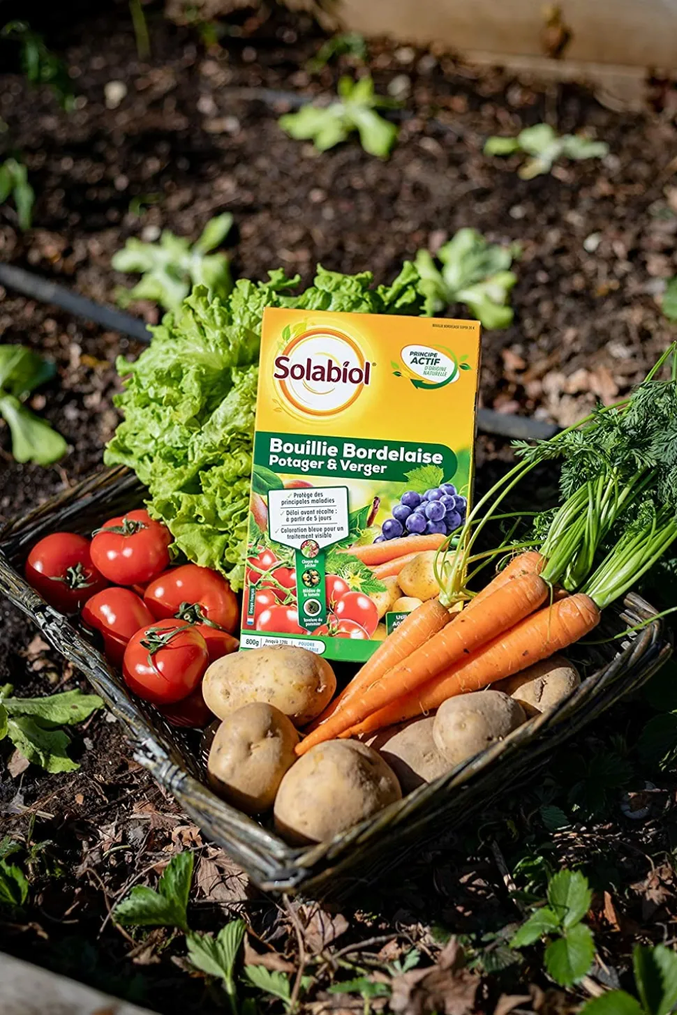SOLABIOL - Sobb20800x2 - bouillie bordelaise - 2x800g - traitement mildiou - tavelure cloque - utilisable en agriculture biologique