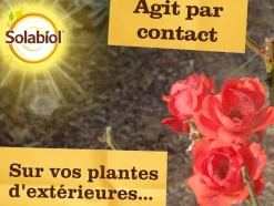 SOLABIOL - Solabiol anti pucerons plantes ornementales & cultures- 2x750ml- action rapide - sopolypal750nx2
