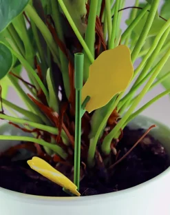 SOLABIOL - Sopiflor - mini-pièges jaunes moucherons discret pour plantes d'intérieur