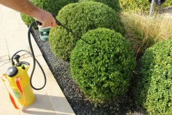 SOLABIOL - Sopiflor - mini-pièges jaunes moucherons discret pour plantes d'intérieur