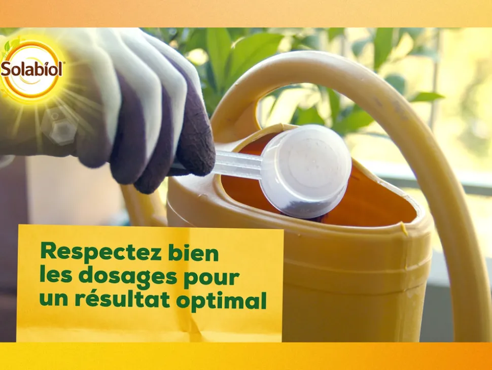 SOLABIOL - Soseq01 - sequestrene antichlorose 100g - action longue durée - fabriqué en france - utilisable en agriculture biologique