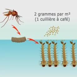 Solu'bti - moustiques - 100 gr de larvicide biologique